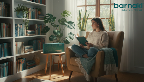 From Summer to Fall: How Seasonal Shifts Change Indoor Air Quality and What Families Can Do