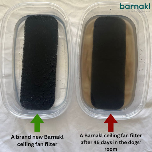 Before and after image of Barnakl filters soaked in water, revealing the pollutants captured by the coconut carbon technology from indoor air