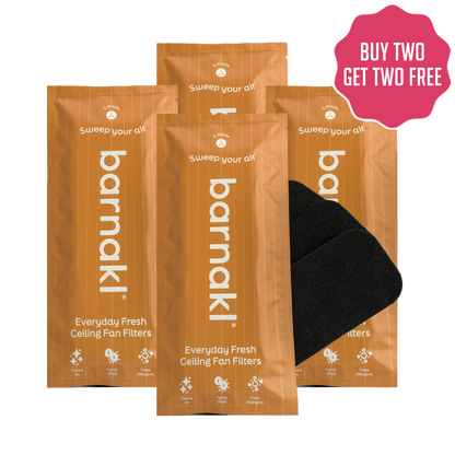 Everyday Fresh Exclusive