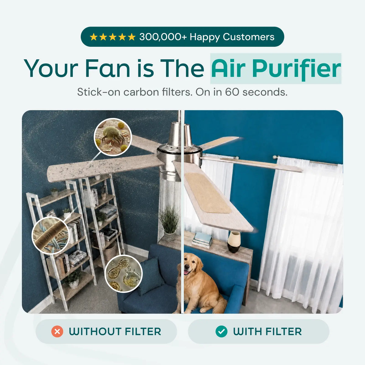 Pet Fresh