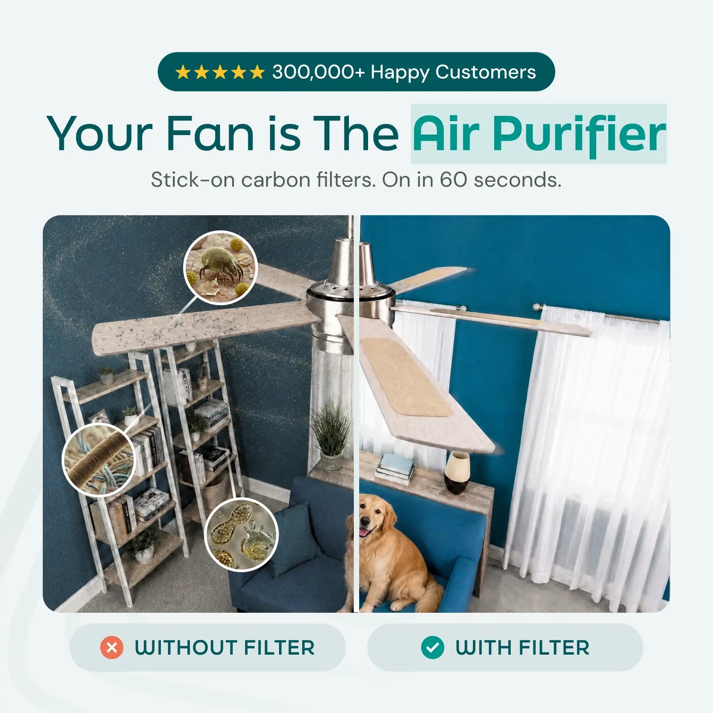 Pet Fresh