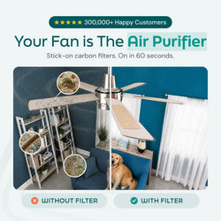 Pet Fresh