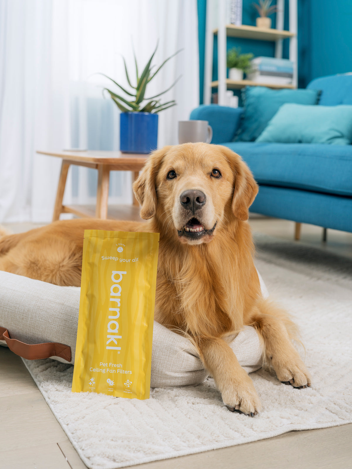 Pet Fresh