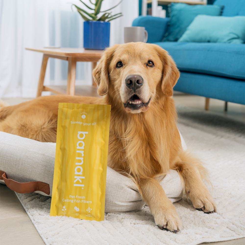 Pet 3-blade packs: Save 30% on 5 Room Bundle