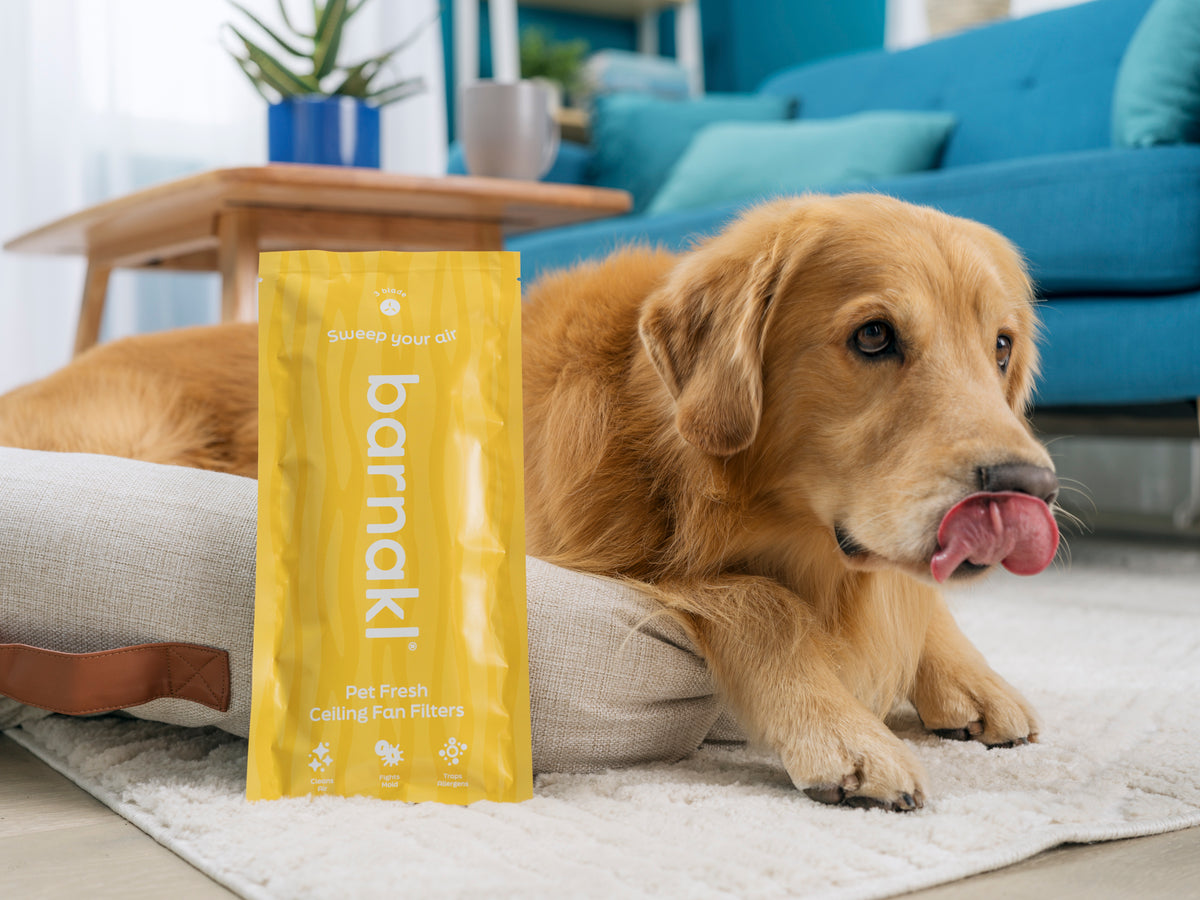 Pet Fresh