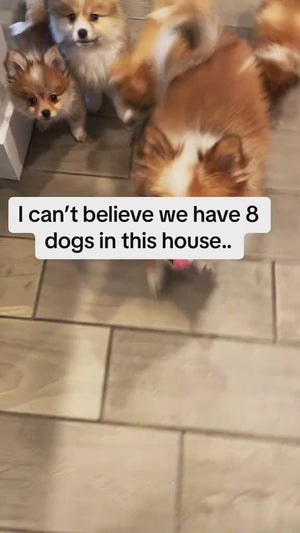 Snaptik.app_7293619137979632942.mp4